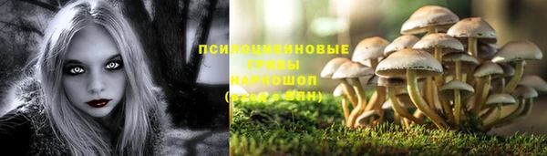 mdpv Краснослободск