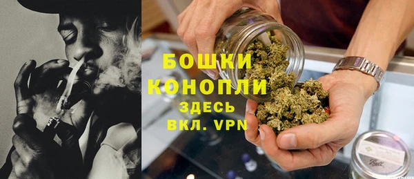 mdpv Краснослободск