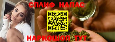 прущие грибы Балаково