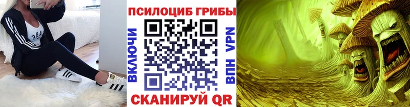 где продают наркотики  Назрань  Галлюциногенные грибы мицелий 