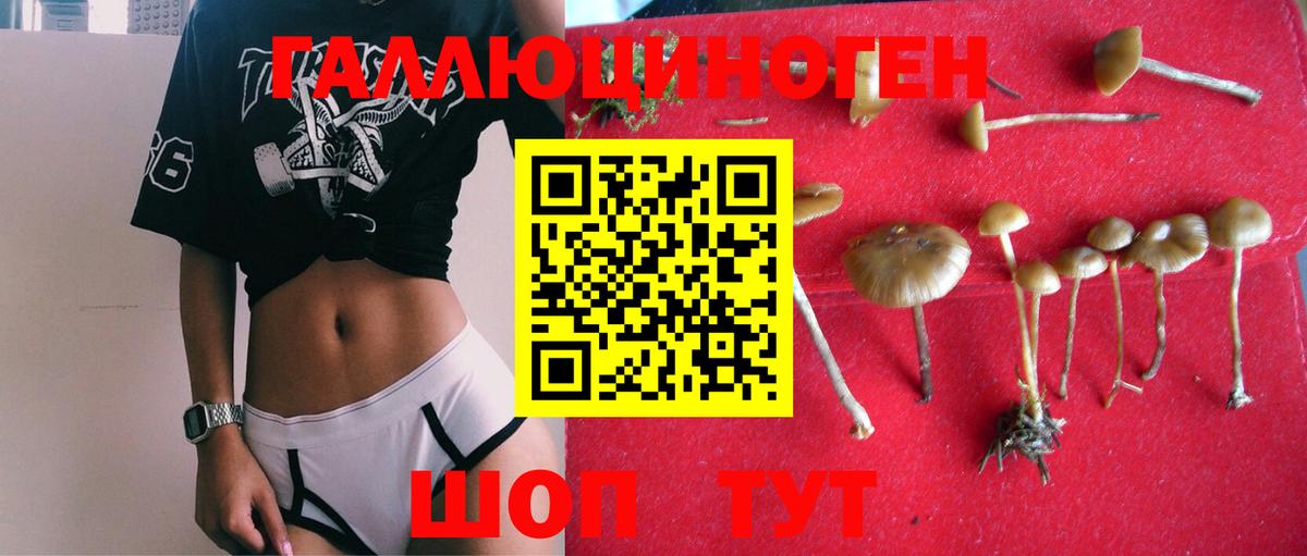 Галлюциногенные грибы мухоморы Назрань