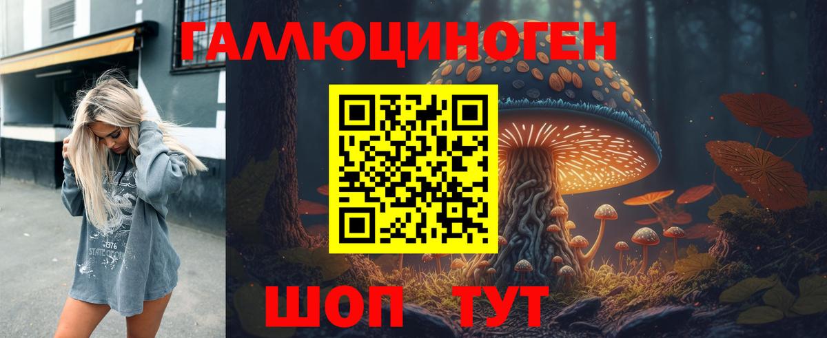 Назрань  Псилоцибиновые грибы Psilocybe  Псилоцибиновые грибы прущие грибы  Вход с VPN 